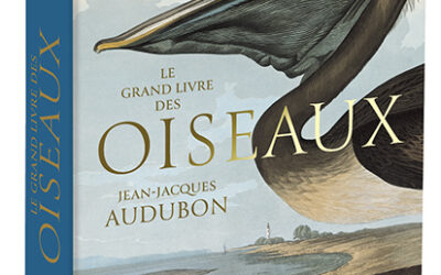 Le grand livre des oiseaux